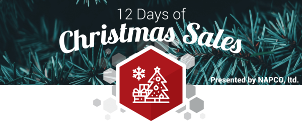 Announcing the Start of the 12 Days of Christmas Sale!